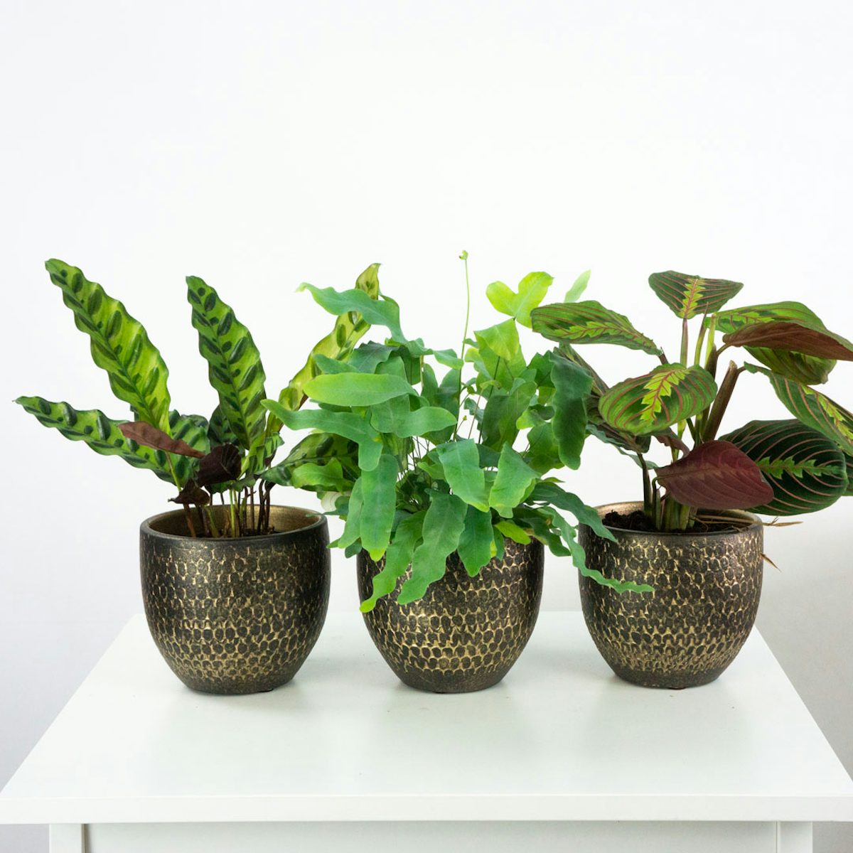 Trio Flowerpots Marrocos - S / 12cm