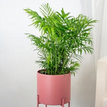 Planter Milan - X/22cm