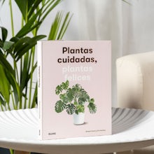 Plantas cuidadas, plantas felizes