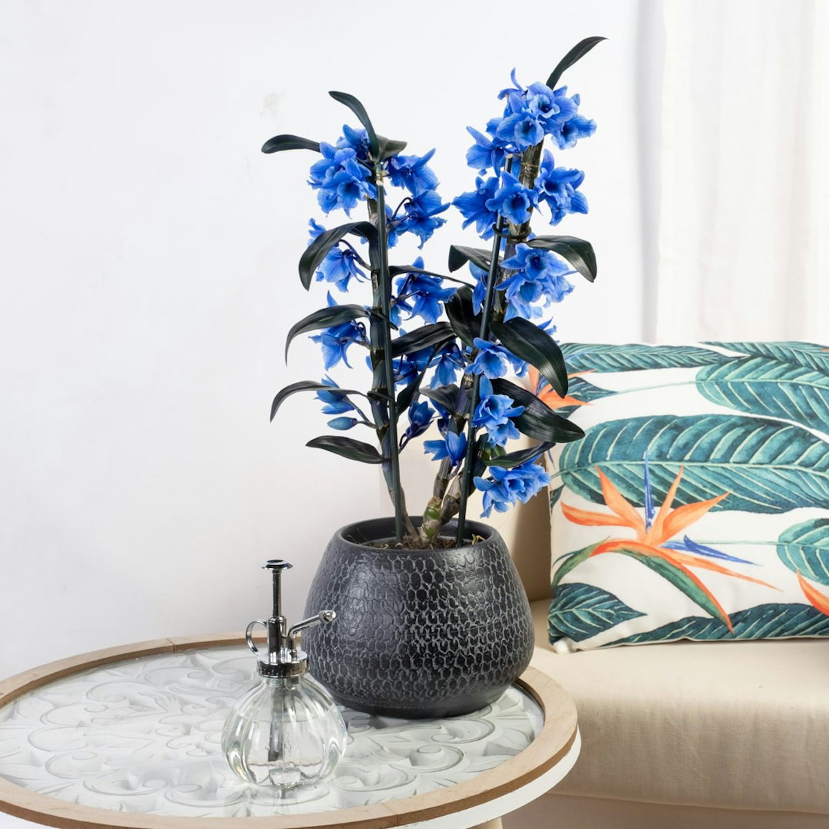 Orchidée Bamboo Bleu