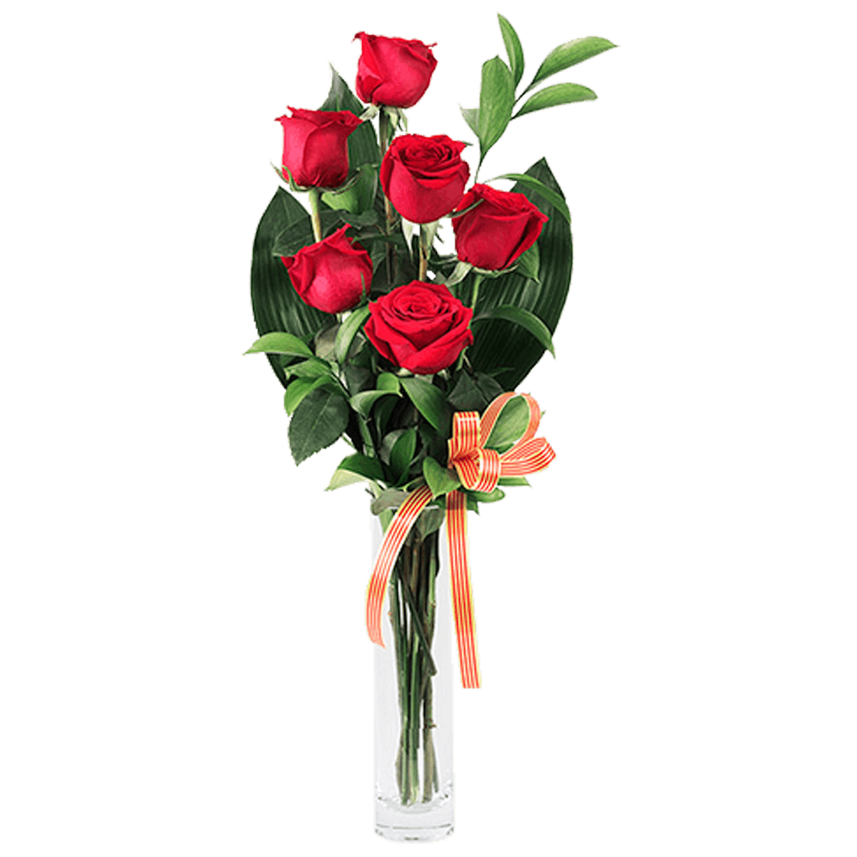Cor de Drac: 6 rosas vermelhas
