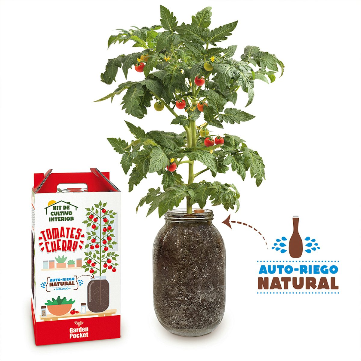 Kit Cultivo Tomate Cherry