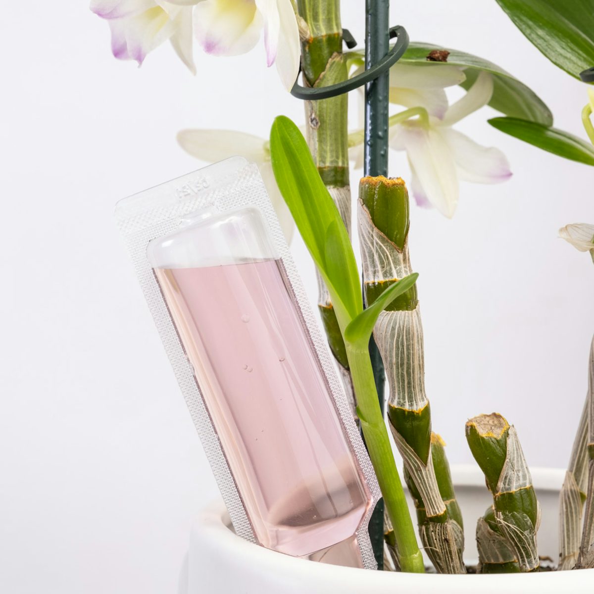Fertilizante líquido para orquídeas