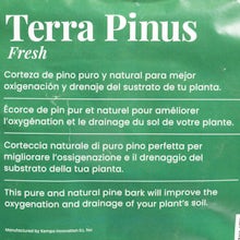 Terra Pinus - 3L