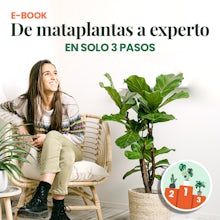 E-book - De mataplantas a expe... related pic