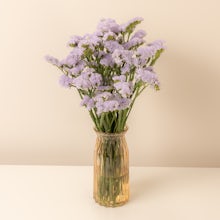 Bouquet de limoniums Statice lilas clair