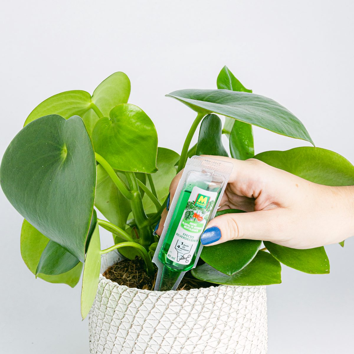 Fertilizante líquido para plantas verdes