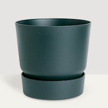 Vaso Lima - XL/23cm related pic