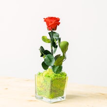 Róża w krysztale related pic
