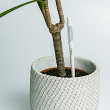 Acheter Plateau tournant rond pour bonsaï de 10 pouces, plaque tournante,  affichage de cuisine à domicile