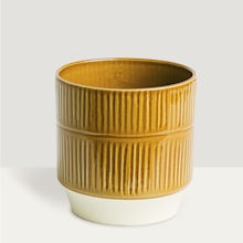Vaso Salvador - S/12cm related pic