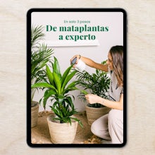 E-Book - Leitfaden für glückliche Pflanzen