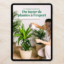 E-book - Od zabójcy roślin do eksperta (Français)