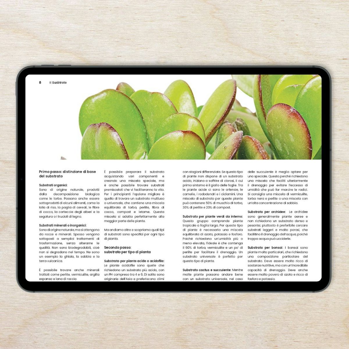E-Book - Vom Pflanzenkiller zum Experten