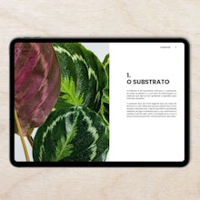 E-book - De assassino de plantas a especialista