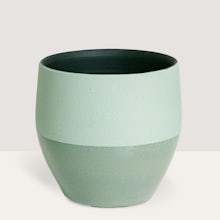 Montreal Planter - M/17cm related pic