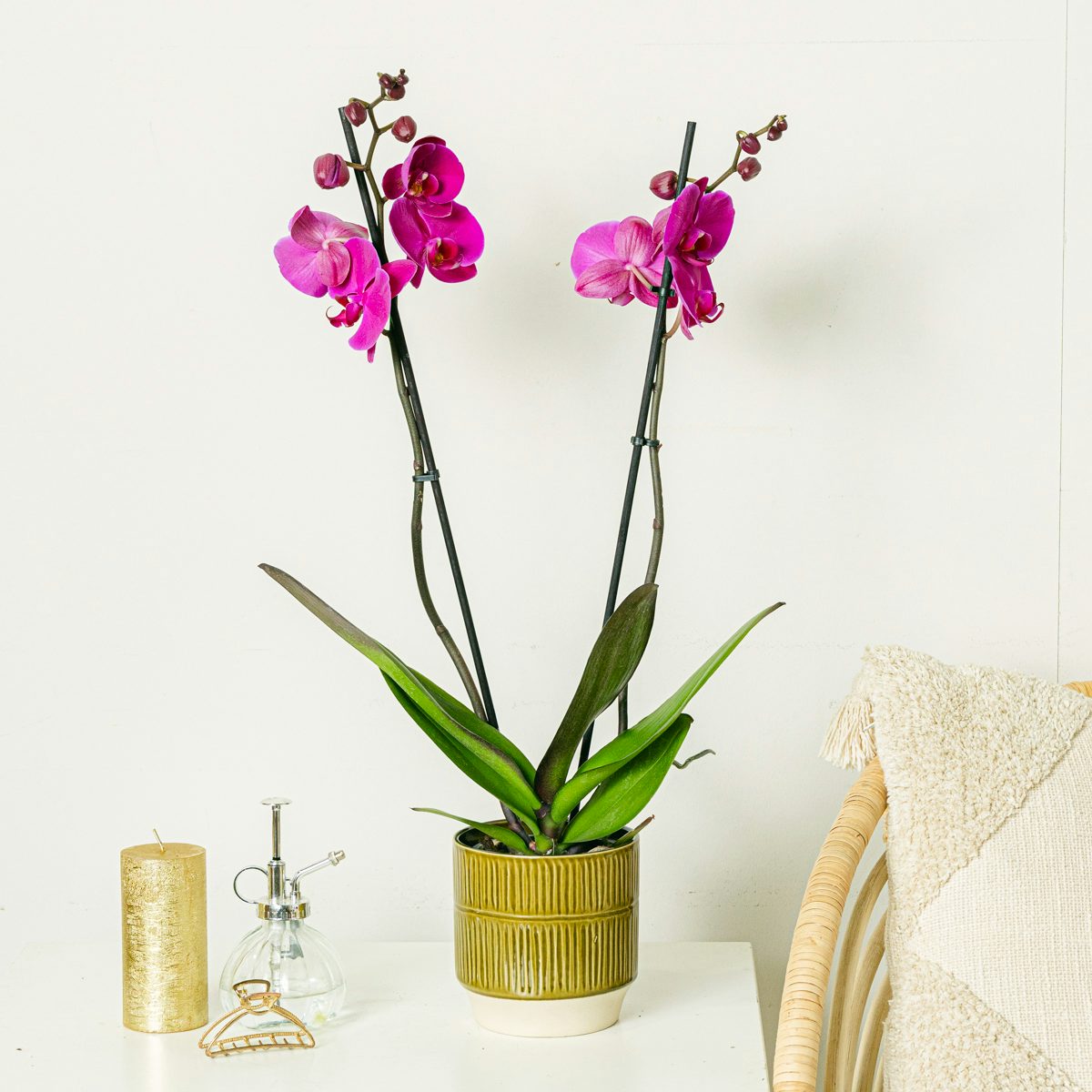 Белая орхидея - 60/70 сантиметры