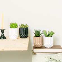 Honeycomb Set 4 planter