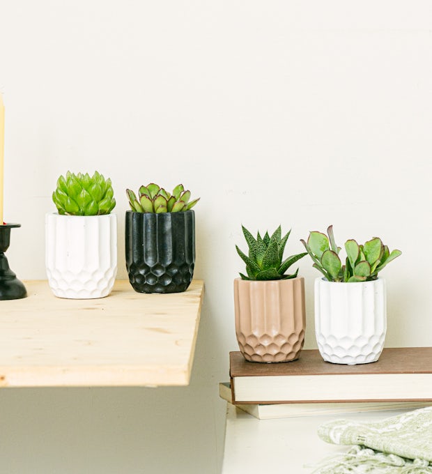 Honeycomb Set 4 planter