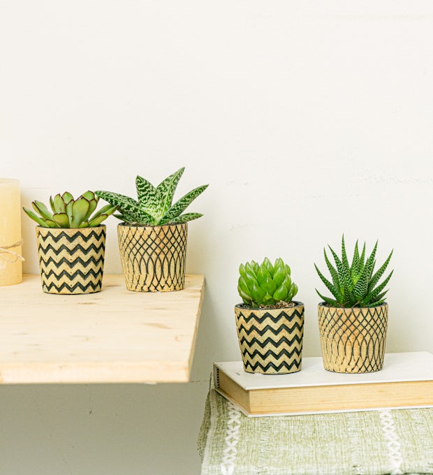 Sæt Boho 4 planter