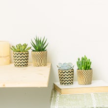 Sæt Boho 4 planter