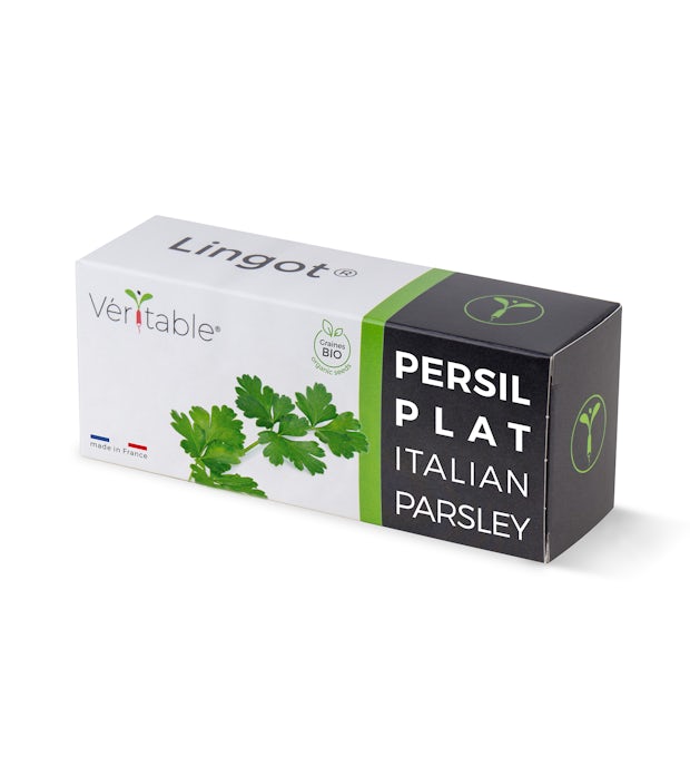 Parsley lingot