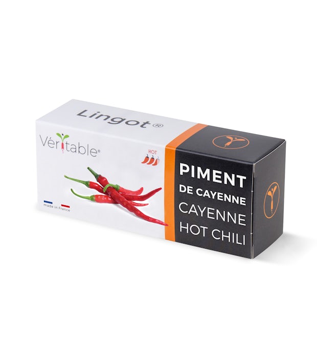 Pikantne Chilli Lingot