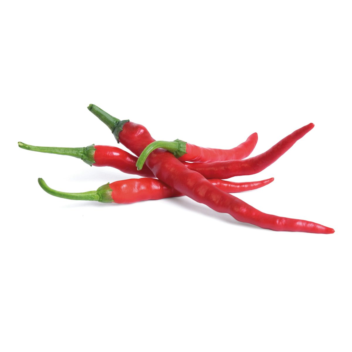 Lingot de Chile Picante