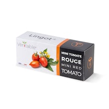 Lingot de Tomate Cherry