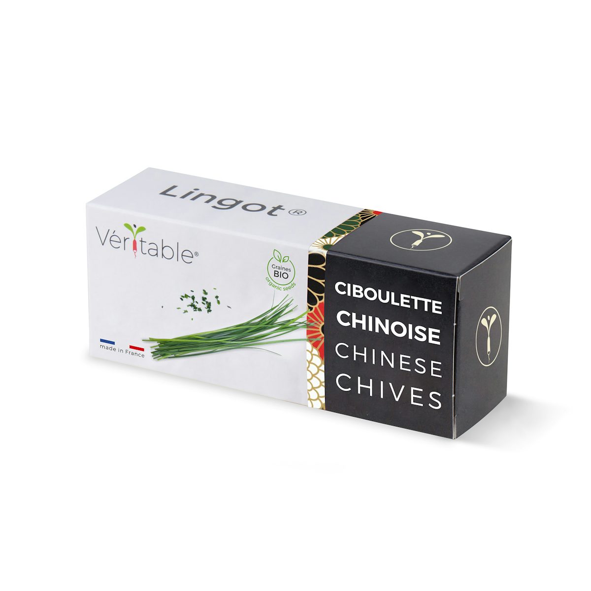 Ciboulette chinoise Lingot