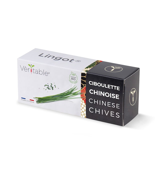 Ciboulette chinoise Lingot