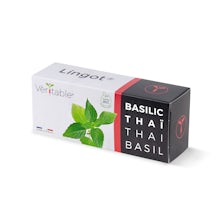 Thaise basilicum lingot