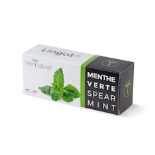 Lingot à la menthe poivrée