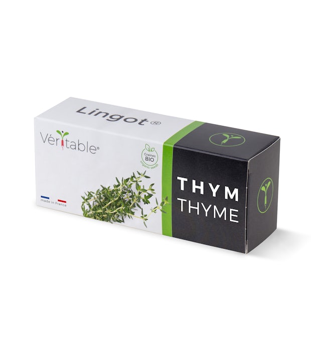 Thyme Ingot