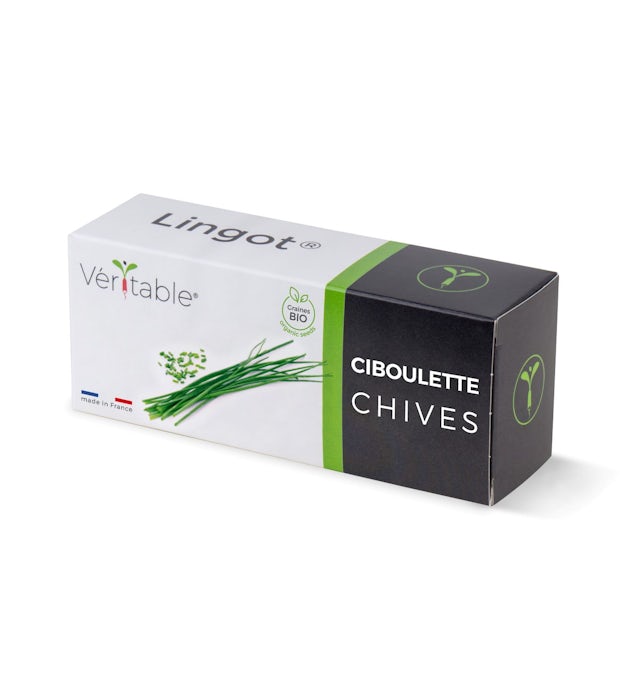 Chive Lingot