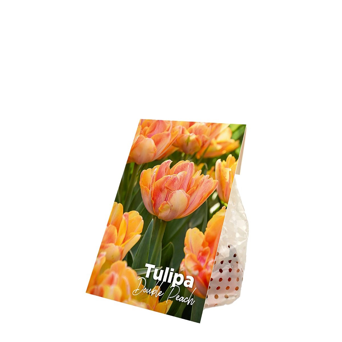 20 Bulbi di tulipani doppi color pesca