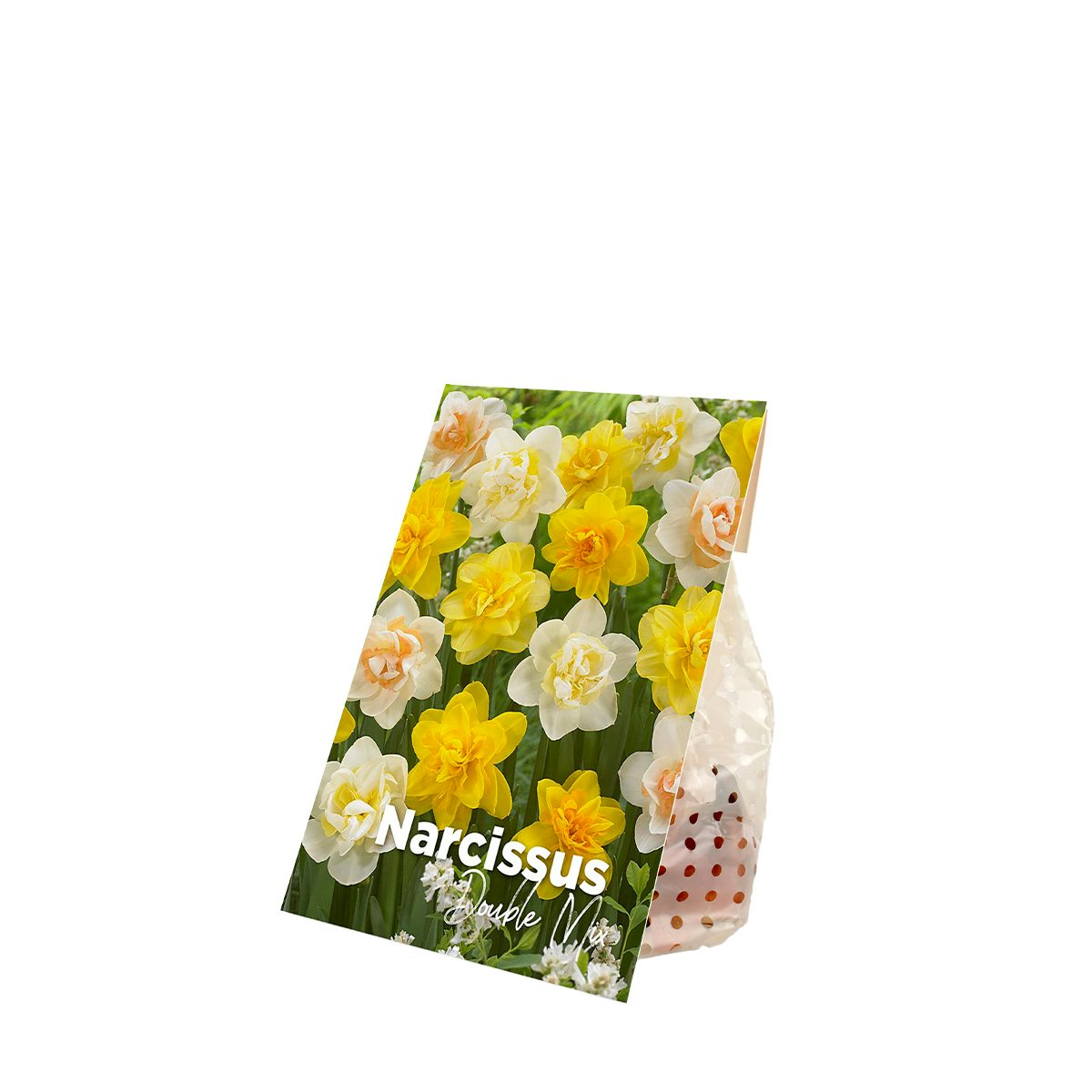 150 løg af Narcissus Double Mix