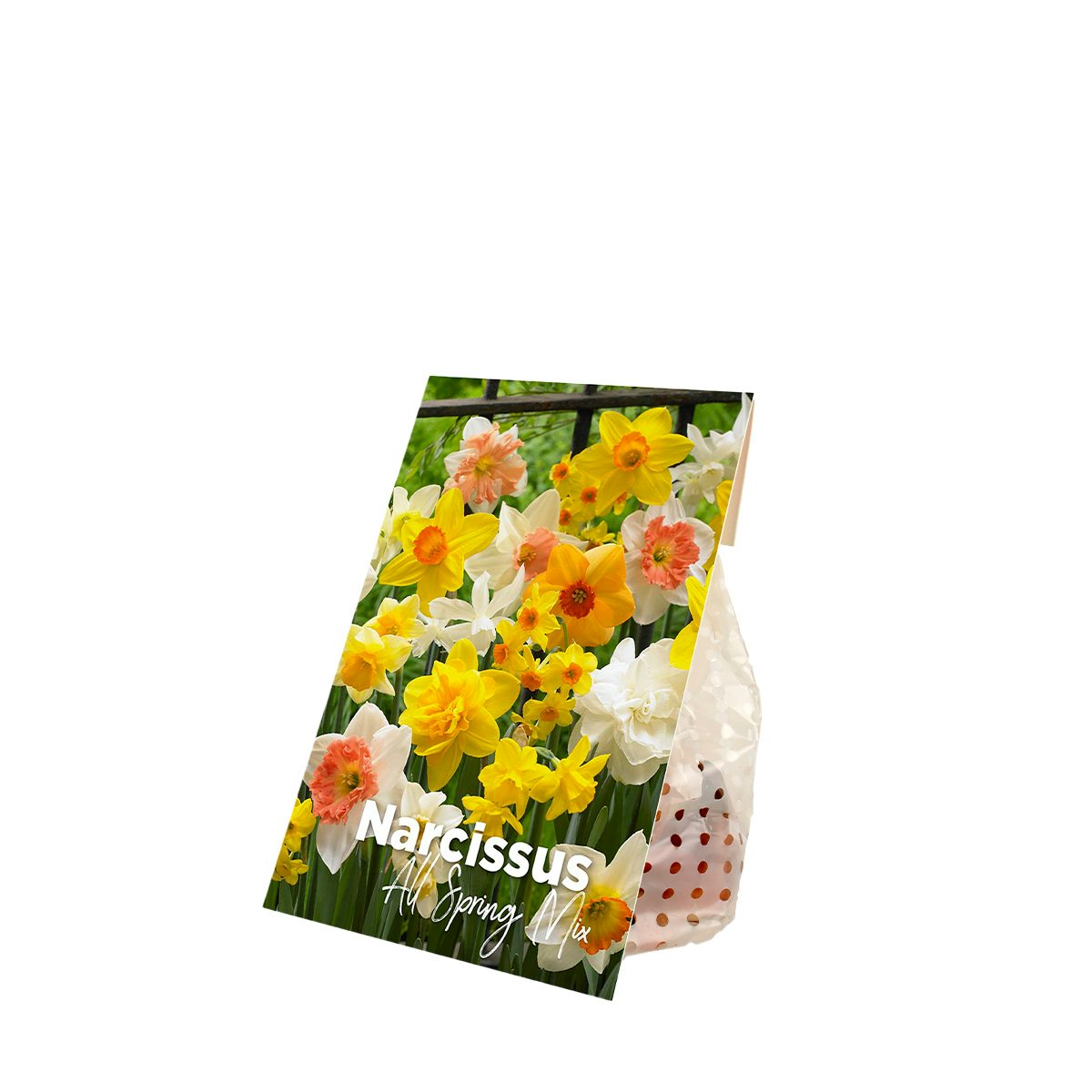 15 løg af Narcissus All Spring Mix